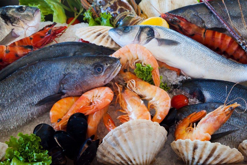 KuNa Fish viswinkel in Zeebrugge met vers vis assortiment van de Noordzee, dagverse kabeljauw en andere vissoorten